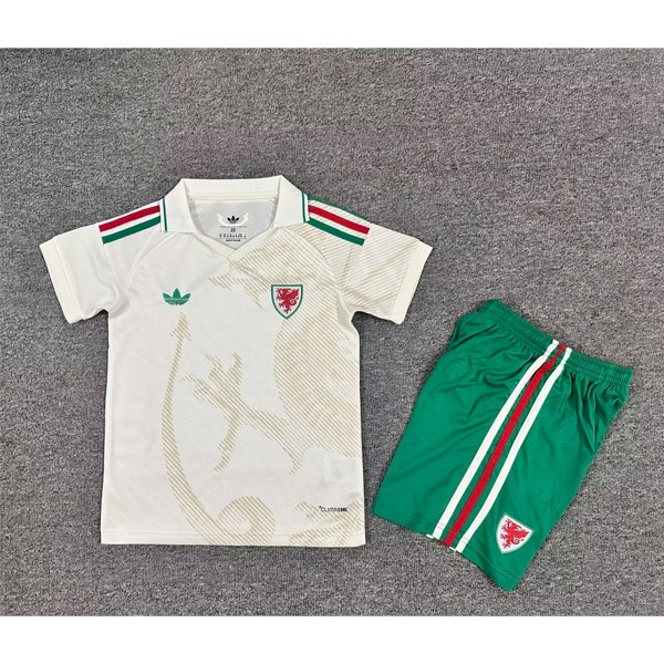 Camiseta Gales Segunda equipo Niño 2026 Camiseta Gales Segunda equipo Niño 2026